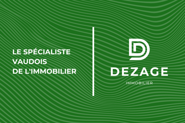 Vue à couper le souffle à 1 minutes du centre de Montreux 17