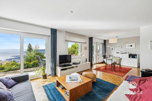 Vue à couper le souffle à 1 minutes du centre de Montreux 3