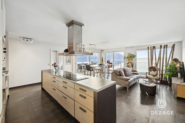 Vue spectaculaire sur le Léman et les montagnes, à deux pas de Montreux et du lac 3