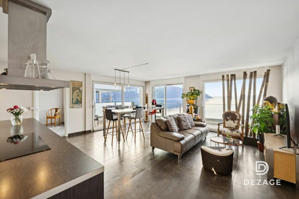 Vue spectaculaire sur le Léman et les montagnes, à deux pas de Montreux et du lac 1