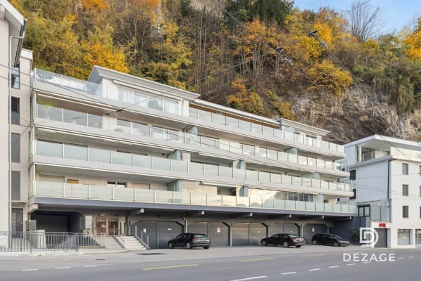 Vue spectaculaire sur le Léman et les montagnes, à deux pas de Montreux et du lac 11
