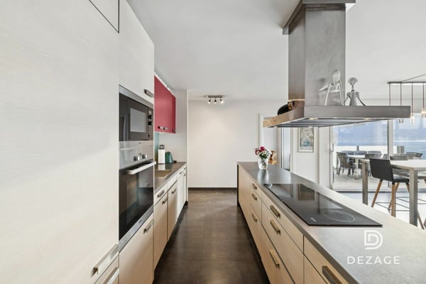 Vue spectaculaire sur le Léman et les montagnes, à deux pas de Montreux et du lac 5