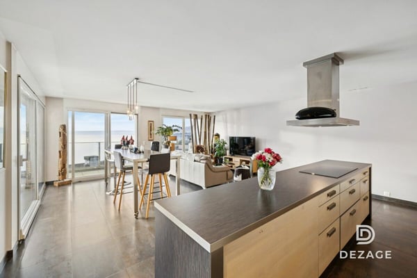 Vue spectaculaire sur le Léman et les montagnes, à deux pas de Montreux et du lac 4