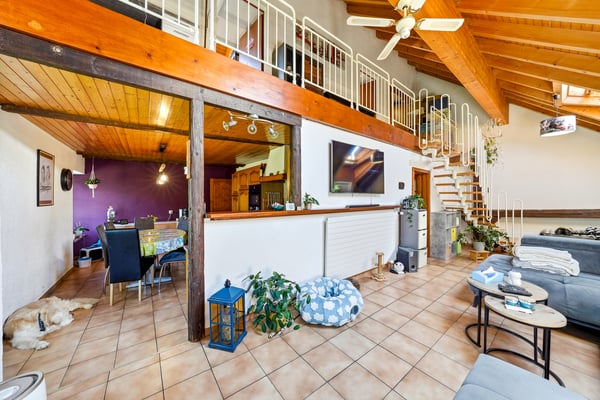 Maison villageoise rénovée avec 2 appartements 10