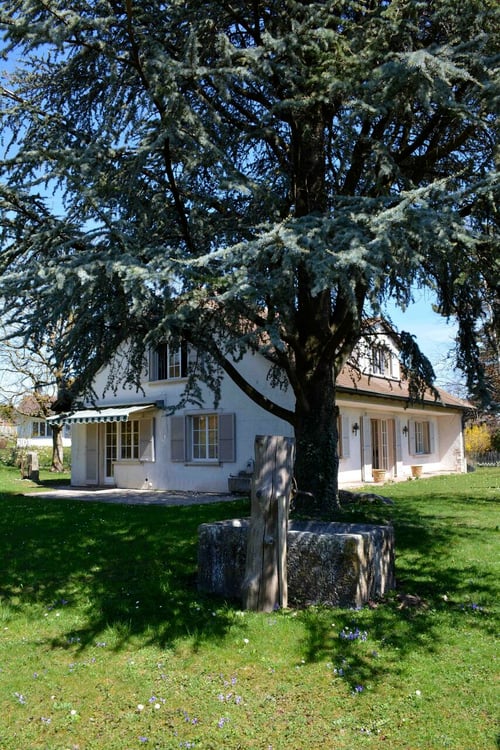 Spacieuse villa de 6.5 pièces proche de toutes les commodités 2