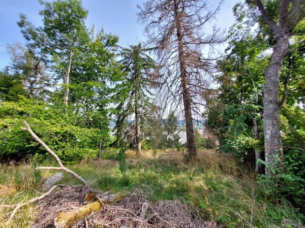 Terrain à bâtir idéalement situé dans un quartier prisé 3