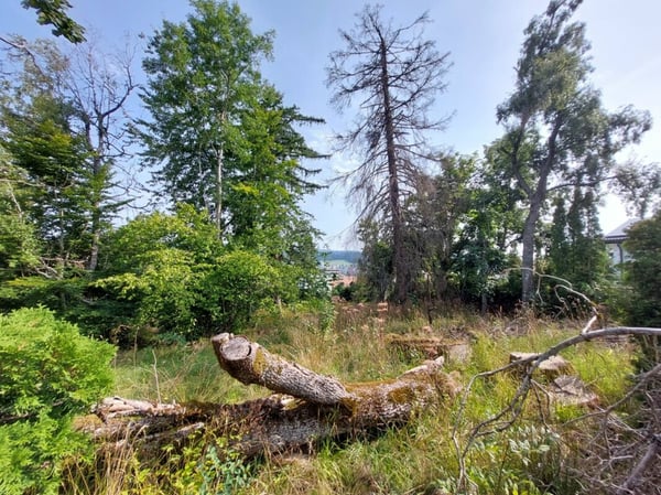 Terrain à bâtir idéalement situé dans un quartier prisé 4