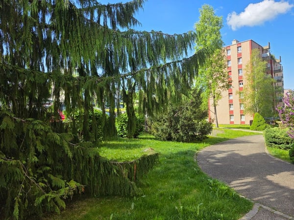 Appartement lumineux de 5,5 pièces avec ascenseur et garage 10