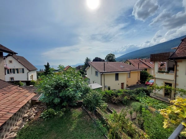 Maison villageoise avec jardin offrant deux appartements et un espace commercial 4