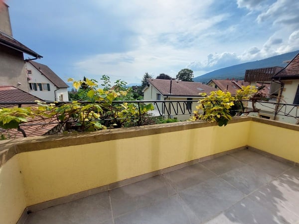Maison villageoise avec jardin offrant deux appartements et un espace commercial 5