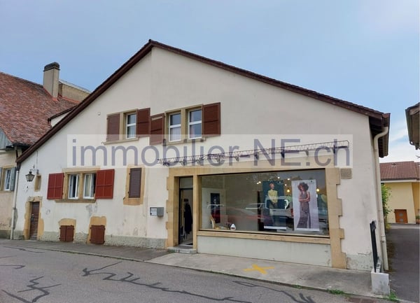 Maison villageoise avec jardin offrant deux appartements et un espace commercial 1