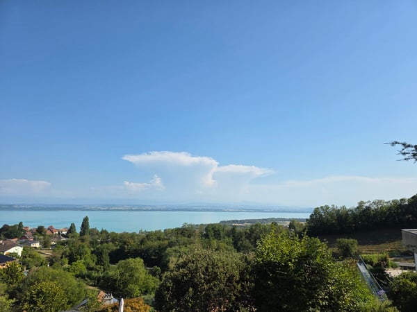 Villa Terrasse de 5,5 pièces avec vue époustouflante sur le lac et les Alpes 3