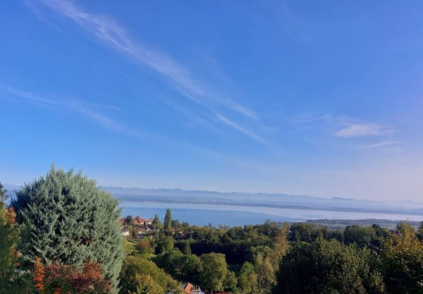 Villa Terrasse de 5,5 pièces avec vue époustouflante sur le lac et les Alpes 4