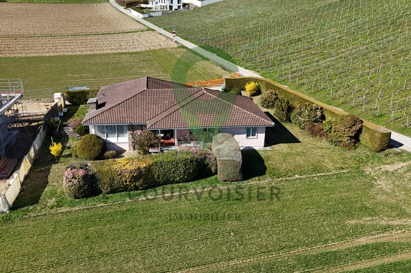 Maison hors du commun à deux pas de Morges 7