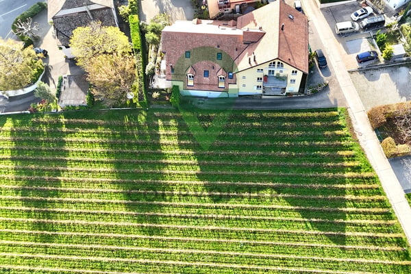 Attique rénové, vue sublime sur vignes, le lac et les alpes 13