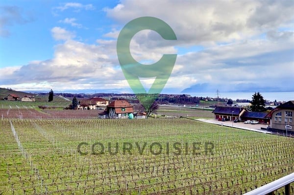 Attique rénové, vue sublime sur vignes, le lac et les alpes 12