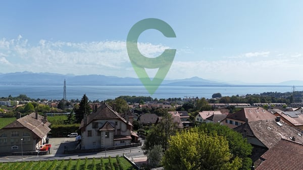 Attique rénové, vue sublime sur vignes, le lac et les alpes