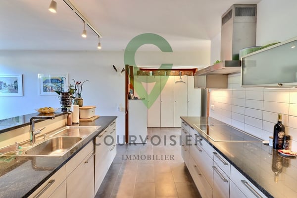 Splendide triplex de 7 pièces avec son espace extérieur privatif 6