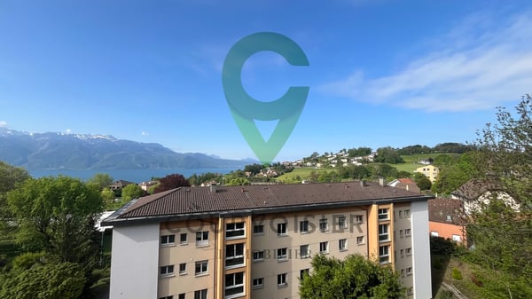 VUE IMPRENABLE SUR LE LAC ET LES ALPES A CHEXBRES 8