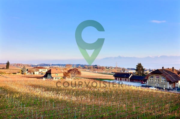 Splendide appartement de 8.5 pièces avec vue sur lac et alpes 13