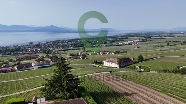 APPARTEMENT EN ATTIQUE AVEC VUE IMPRENABLE SUR LE LAC ET ALPES 12