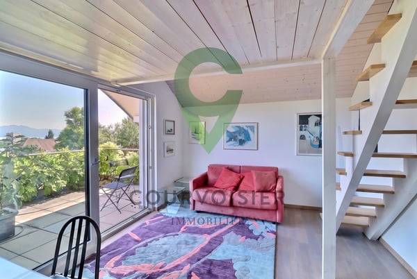 A Morges - maison individuelle avec vue lac et appartement indépendant 7