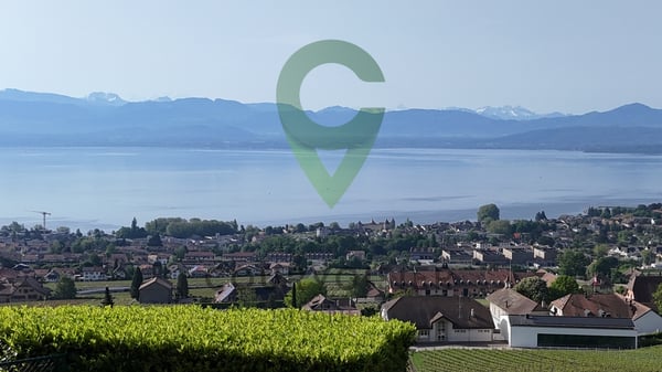 BELLE DEMEURE VIGNERONNE AYANT DU POTENTIEL 4