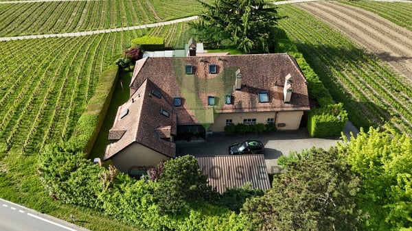 BELLE DEMEURE VIGNERONNE AYANT DU POTENTIEL 2