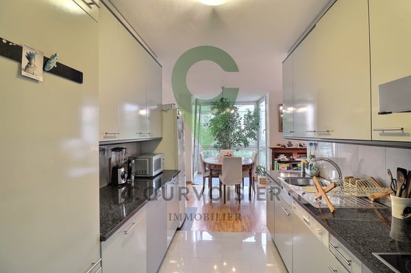 PAISIBLE APPARTEMENT DE 4,5 PIECES A NYON 2
