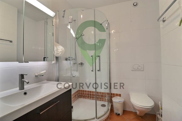 PAISIBLE APPARTEMENT DE 4,5 PIECES A NYON 11