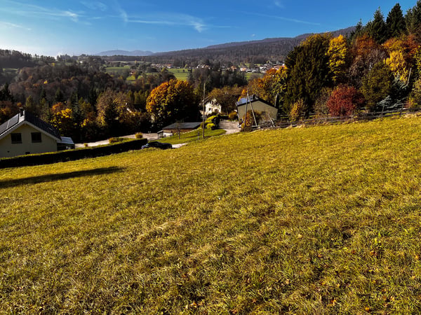 1 Plot of 2200 m² - 30 minutes from Geneva 4