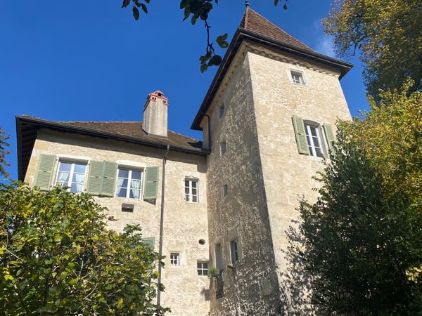 Genève a 1 heure..... en France voisine - A vendre magnifique château- 3