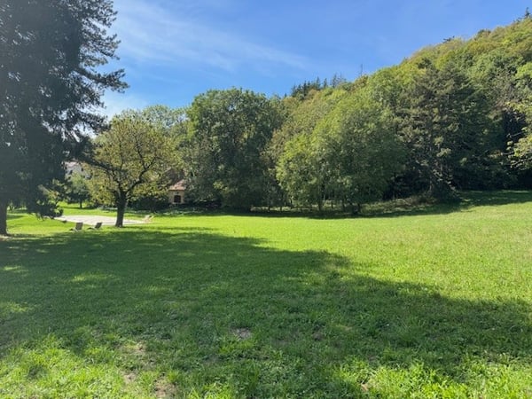 Genève a 1 heure..... en France voisine - A vendre magnifique château- 13