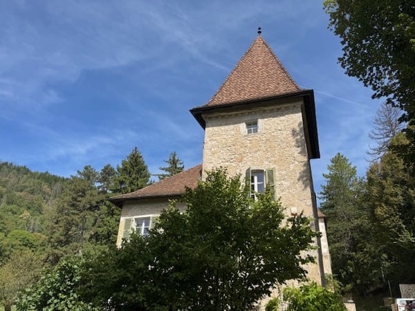 Genève a 1 heure..... en France voisine - A vendre magnifique château- 2