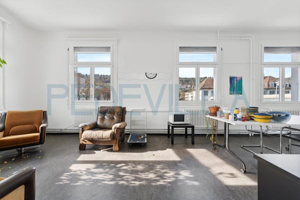 Surface commercial au 1er étage 2