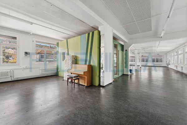 Surface commercial au 1er étage 4