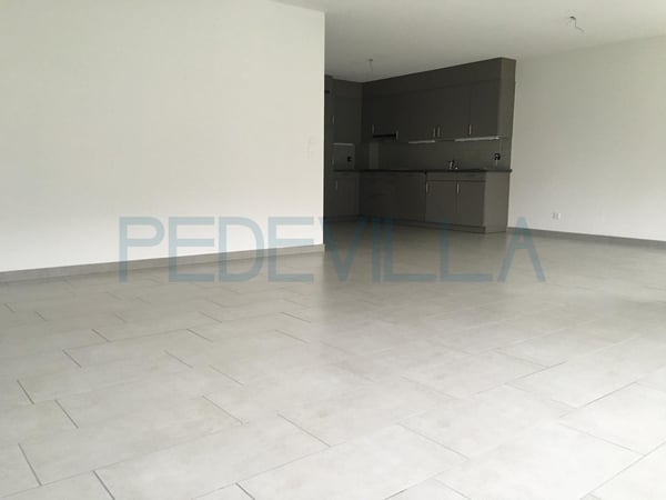 À louer - 3.5 pièces avec terrasse 3