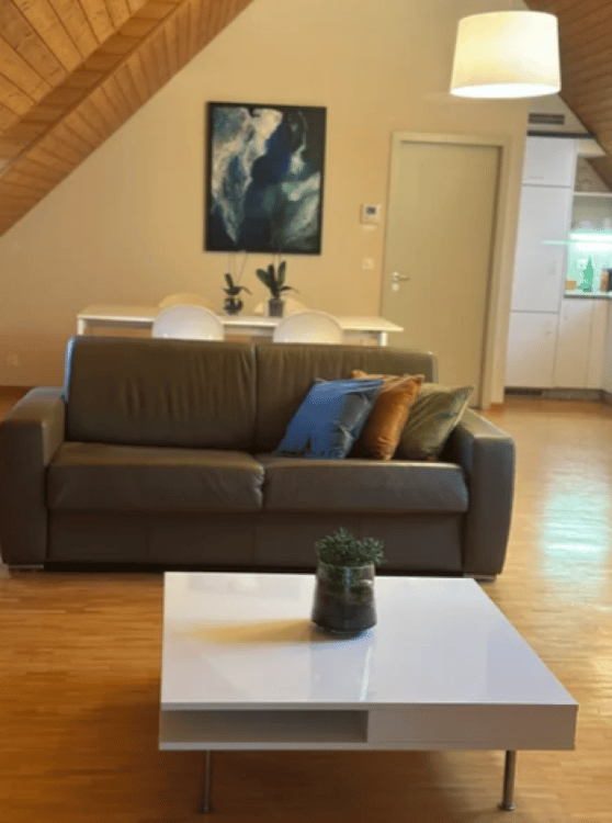 1.5 pièces au centre ville de Neuchâtel 2