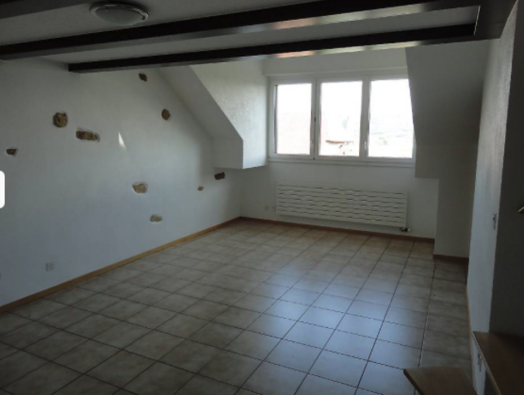 Charmant appartement de 2 pièces en attique avec mezzanine
