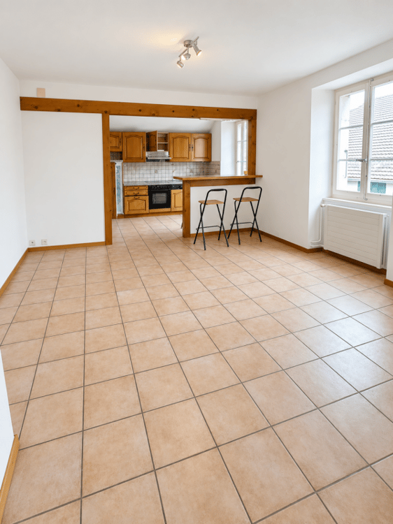 Appartement 3 pièces avec grand séjour et jardin commun à Fontaines 1