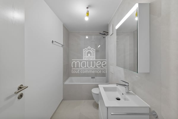 Duplex de 1.5 pièces - Immeuble rénové au coeur de Vionnaz 6