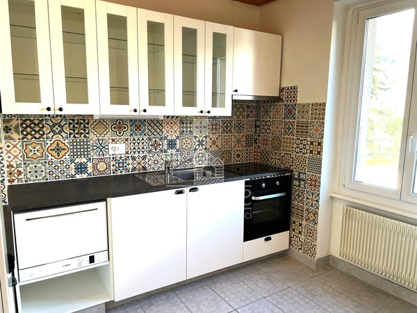 Charmant appartement de 1.5 pièces à Saxon 3