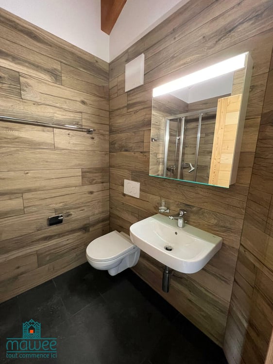 Magnifique projet immobilier de haut standing à Ovronnaz 4