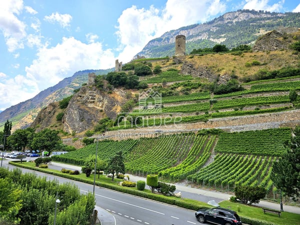 Triplex de haut standing avec label Minergie à Saillon 6