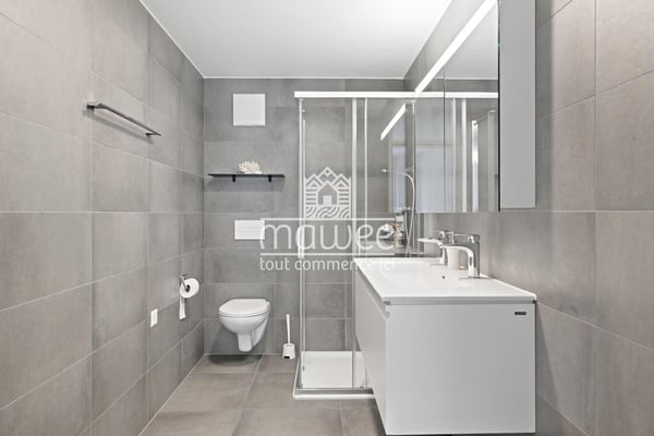 Situation idéale au coeur de Fully ! 7