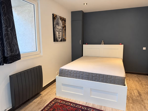 En France Immeuble Parfait Investisseur avec vue sur le lac Léman 5