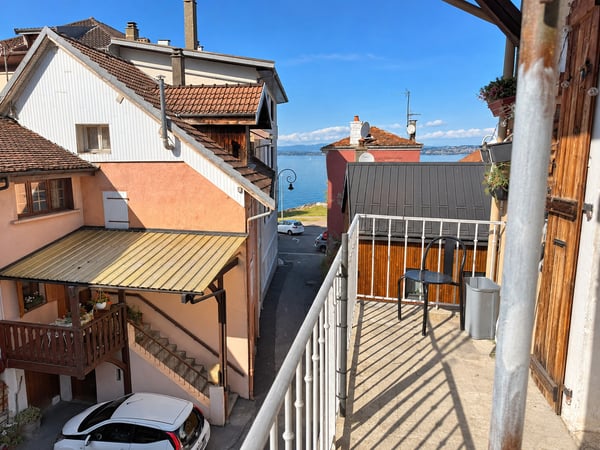 En France Immeuble Parfait Investisseur avec vue sur le lac Léman 2