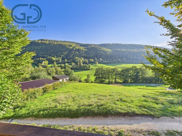 Somptueux chalet dans un cadre bucolique 3