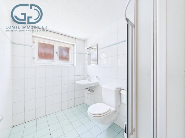 Splendide appartement au rez-de-chaussée 7