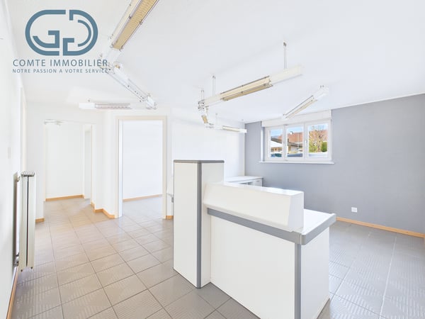 Splendide appartement au rez-de-chaussée 1